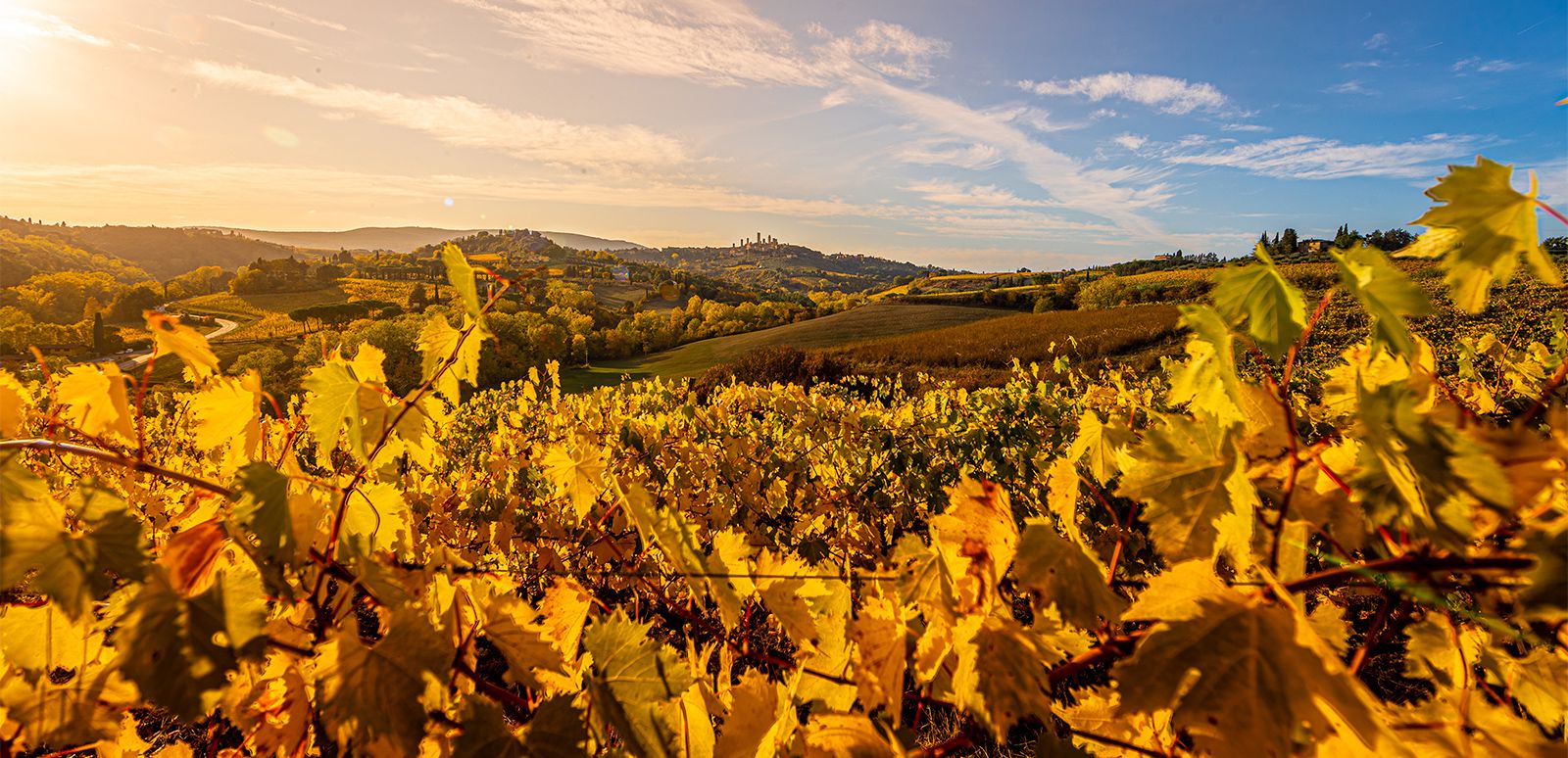 Agriturismo San Gimignano Tuscany